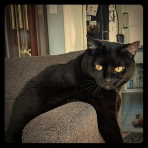 Meet your Posher, Cecilia